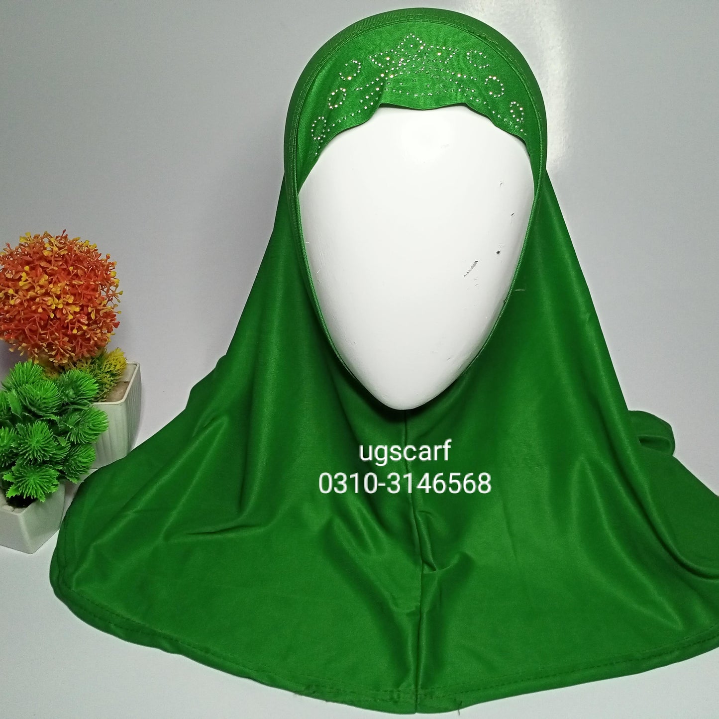 Makhna for Madarsa
